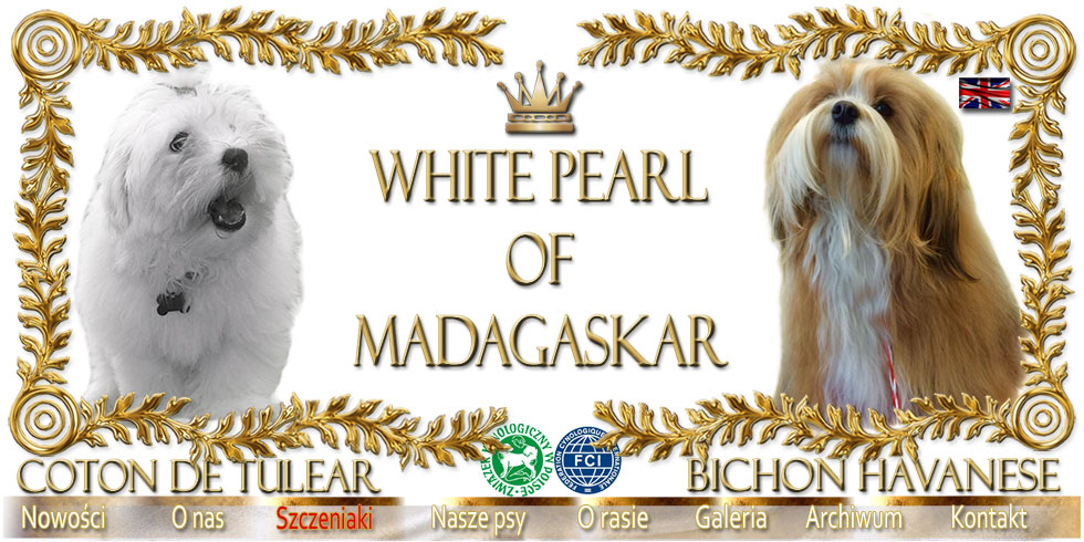 WHITE PEARL OF MADAGASKAR